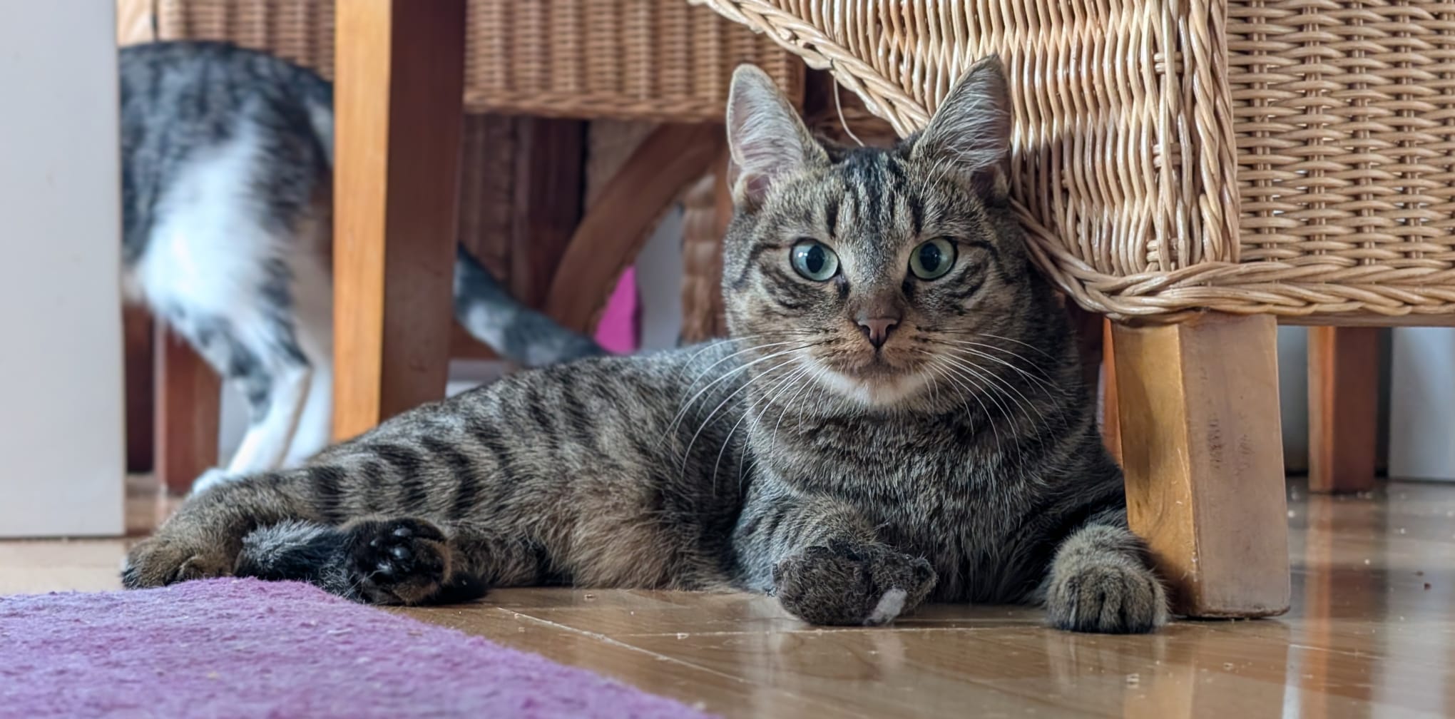 Alma