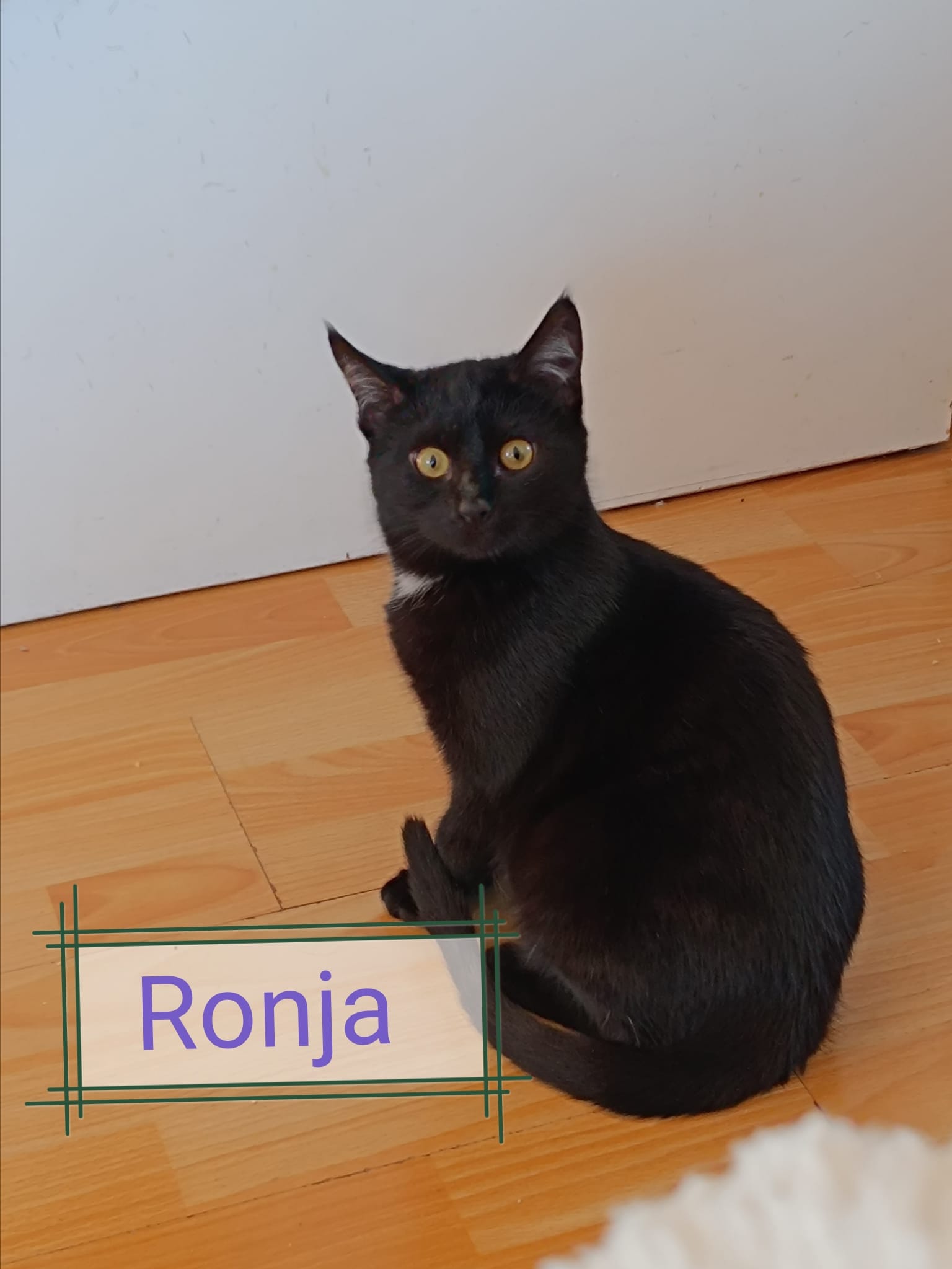 Ronja