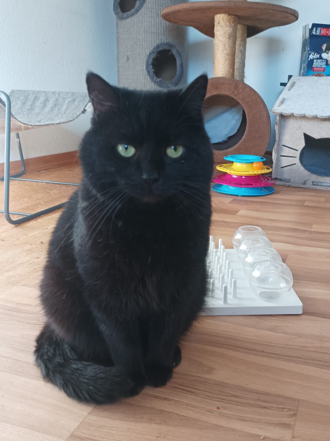 Milton