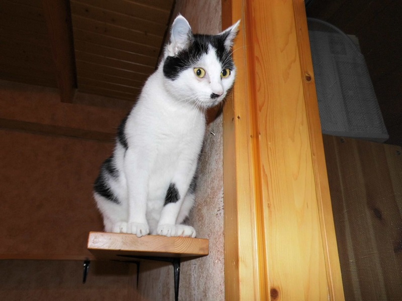Wilma