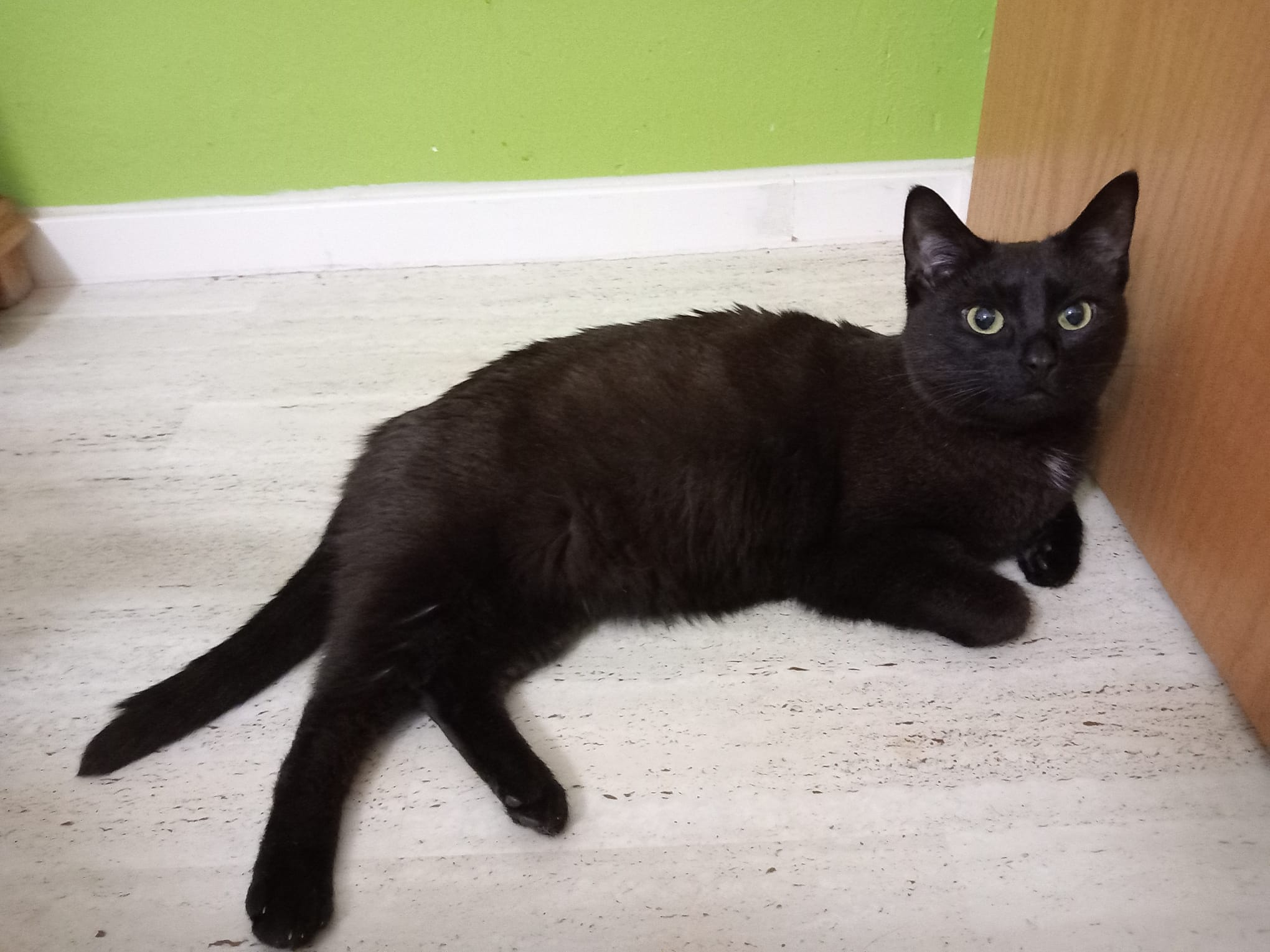 Lucy