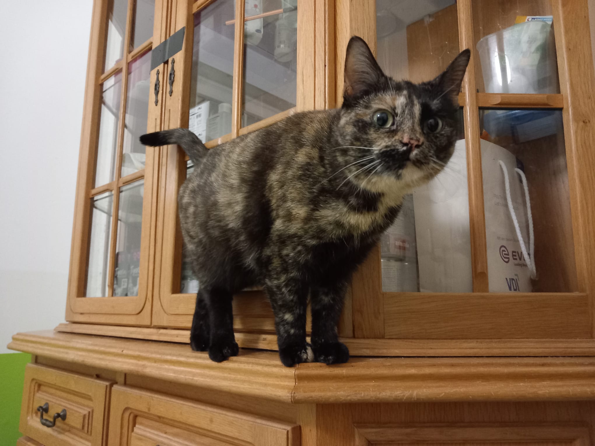 Lucy
