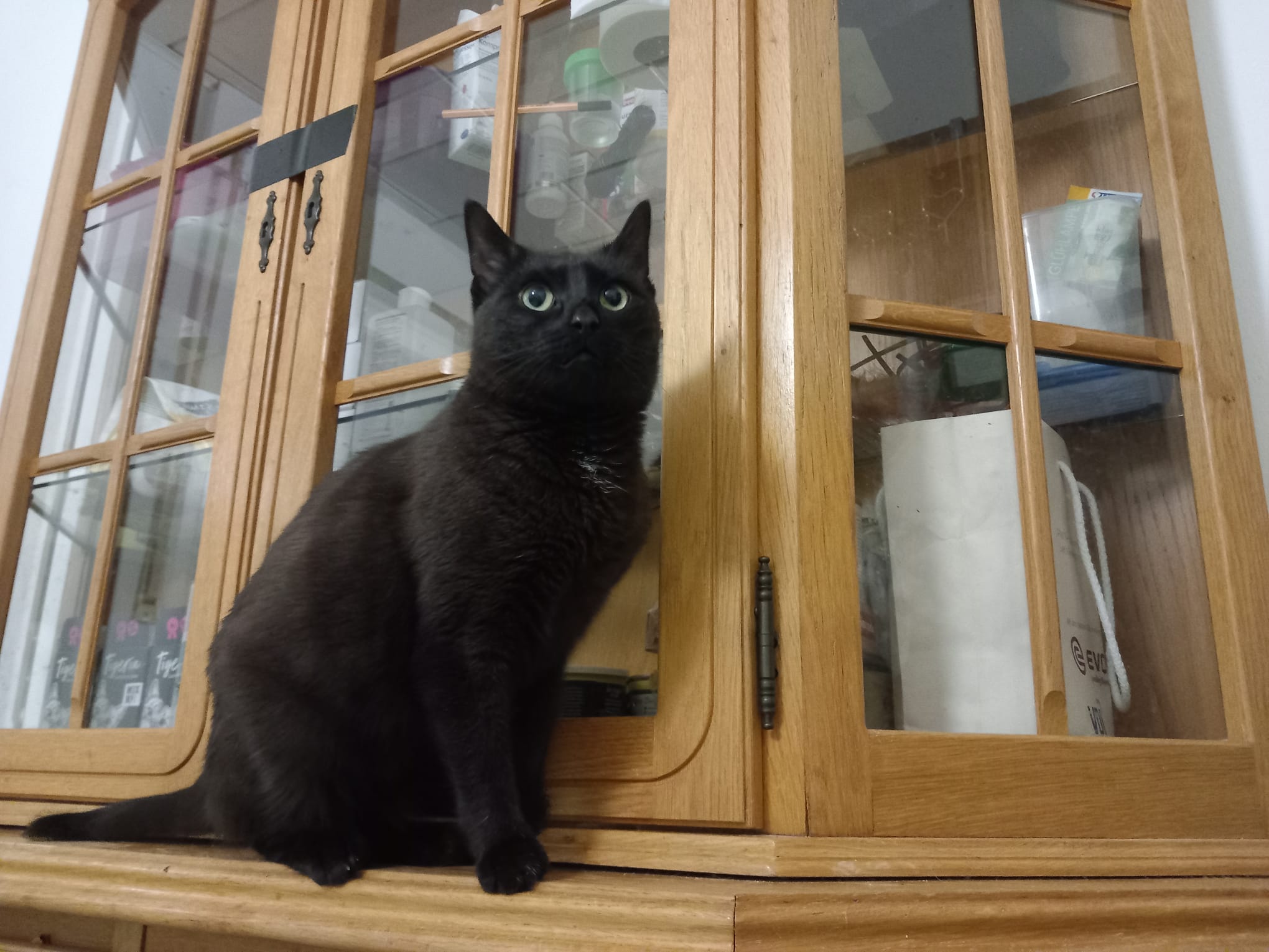 Lucy